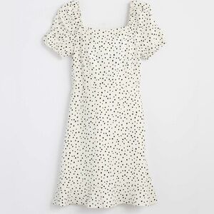 Polka dot ann taylor loft dress